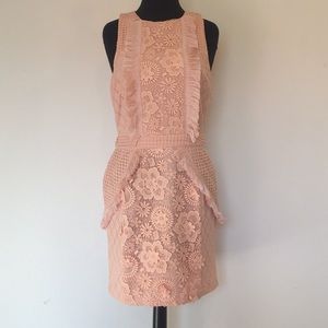 Pink endless rose Dress